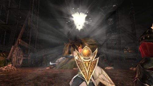 This Guardian outfit features the Elven Soldier's Shield - with combat animation of a light glow