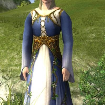 Dress of Entwining Blossoms - LOTRO Midsummer 2021 Upper Body Cosmetic