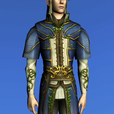 Tunic of Entwining Blossoms - Male High Elf