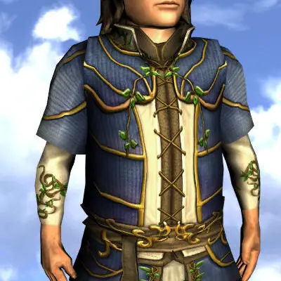 Tunic of Entwining Blossoms - Male Hobbit