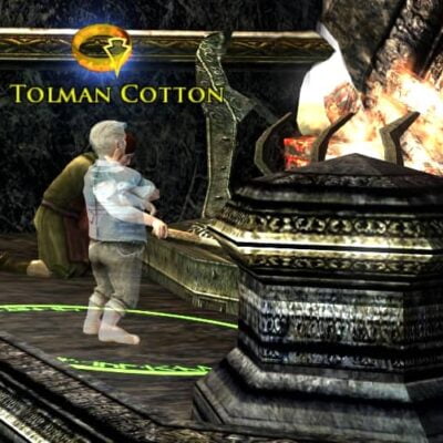 Tolman Cotton