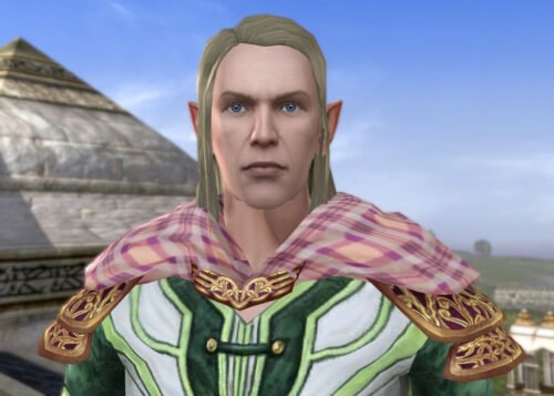 LOTRO Mantle of the Farmer's Table - Farmer's Faire Shoulders Cosmetic