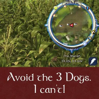 Avoid the Dogs during Maggot's Mushroom Hunt (if you can!)