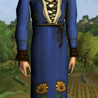 LOTRO Long-Sleeved Sunflower Dress - Male Elf