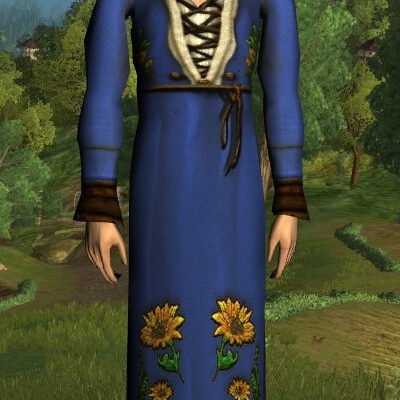 LOTRO Long-Sleeved Sunflower Dress - Male High Elf