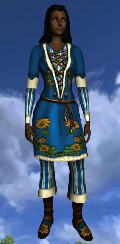 LOTRO Long-Sleeved Sunflower Tunic and Trousers - Female Beorning