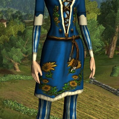 LOTRO Long-Sleeved Sunflower Tunic and Trousers - Female High Elf