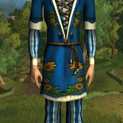 LOTRO Long-Sleeved Sunflower Tunic and Trousers - Male High Elf
