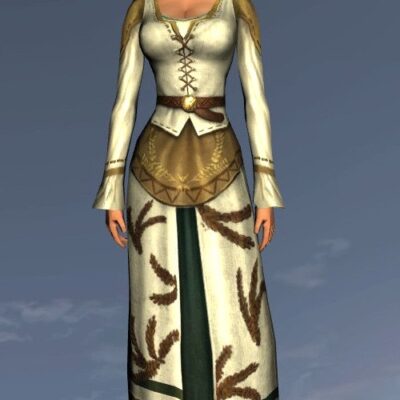 LOTRO Farmer's Fancy Dress - Female Human, Woman, Race of Man (whatever)