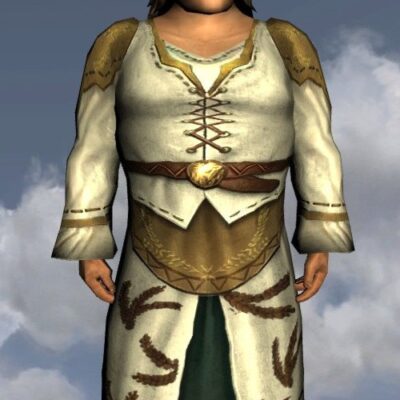 LOTRO Farmer's Fancy Dress - Male Hobbit