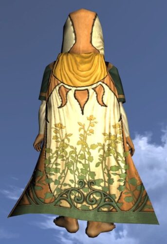 LOTRO Hooded Cloak of the Midsummer - Farmers Faire Back Cosmetic