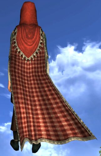 LOTRO Hooded Cloak of the Perfect Picnic - Back Cosmetic (Festivity Tokens)