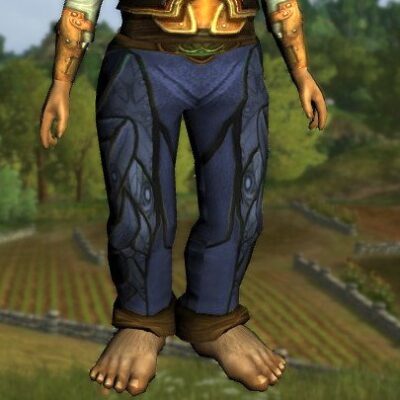 LOTRO Peacock Trousers - Farmers Faire Lower Body Cosmetic