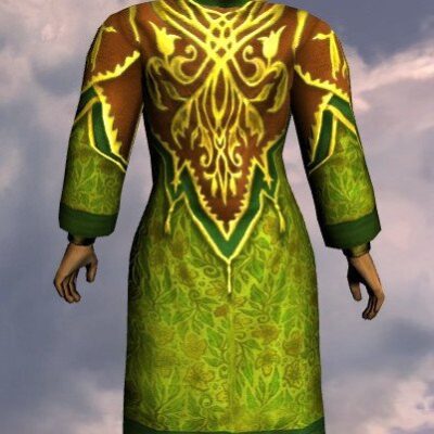 LOTRO Robe of Bounty from the Back