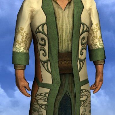 LOTRO Robe of the Midsummer - Male Hobbit