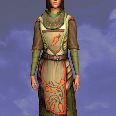 LOTRO Tunic of the Green Grocer - Farmers Faire Upper Body Cosmetic