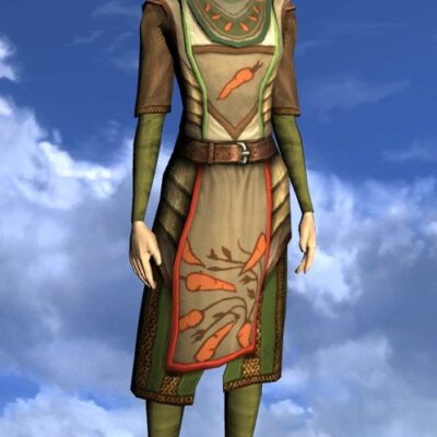 LOTRO Tunic of the Green Grocer - Female High Elf