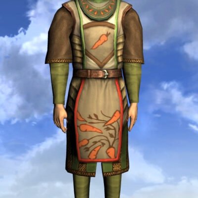 LOTRO Tunic of the Green Grocer - Male High Elf