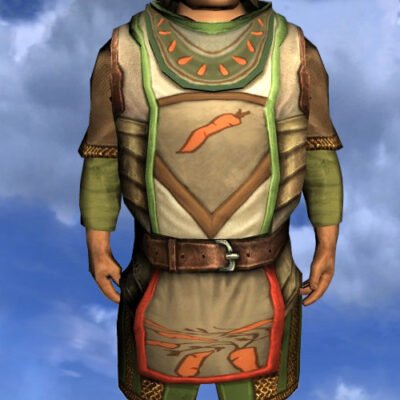 LOTRO Tunic of the Green Grocer - Male Hobbit