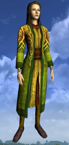 LOTRO Robe of Bounty - Female High Elf