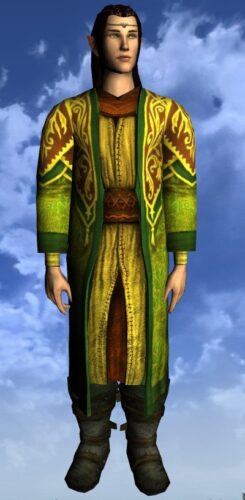 LOTRO Robe of Bounty - Male Elf