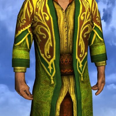 LOTRO Robe of Bounty - Male Hobbit