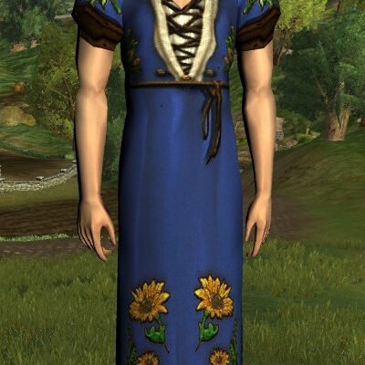 LOTRO Short-Sleeved Sunflower Dress - Male High Elf