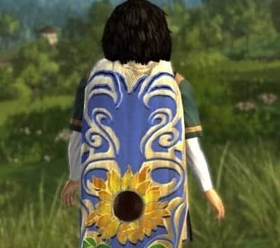 Sunflower Cloak FI