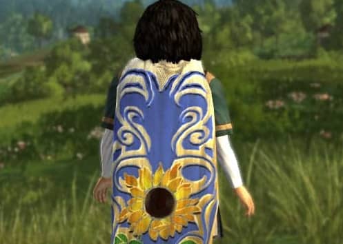 Sunflower Cloak FI