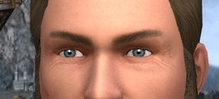 My attempt at blue grey eyes in LOTRO.