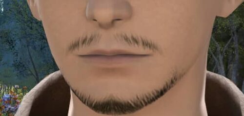 The closest match to my own facial hair in FFXIV