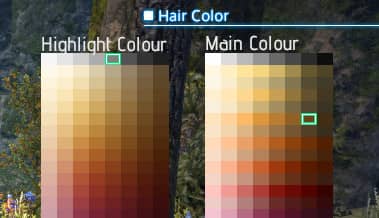 The hair colours I chose, a darkish brown with grey highlights.