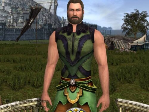 Behold! The Arms of an Average Man! (In LOTRO, at least!)