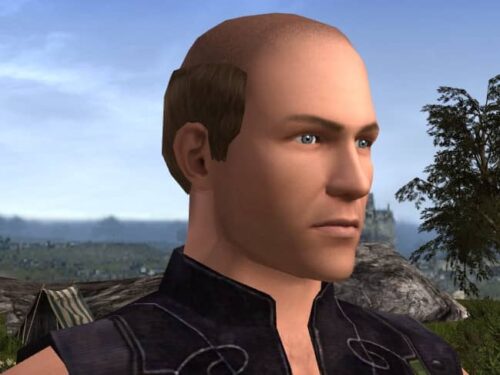 Bald, Ring of Hair style in LOTRO