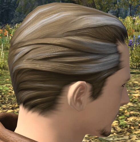 The closest male Hyur hairstyle I could find to thinning hair!