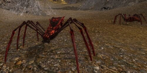 Example Spider of Minas Eriol, in the Lone-Lands, just as you enter