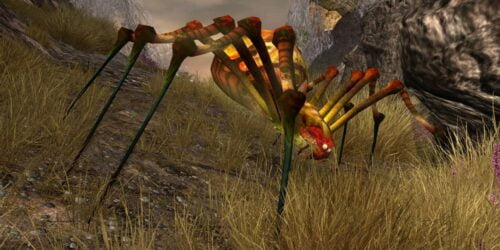 An example of a spider you can find West of Ost Guruth - Spider-Slayer Deed