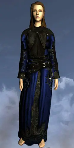 Travelling Robes of the Autumn Wanderer | Female High Elf
