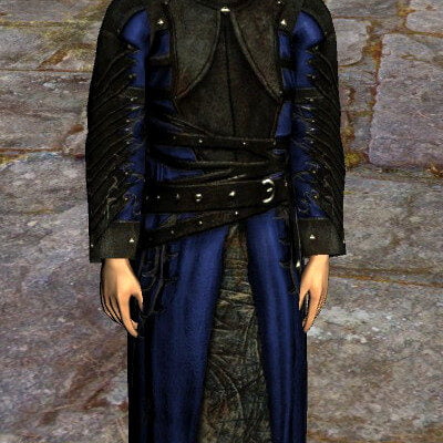 Travelling Robes of the Autumn Wanderer | Male High Elf