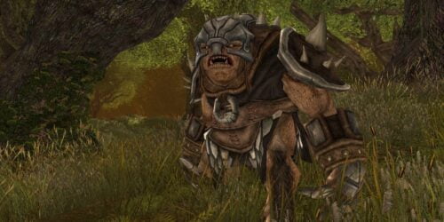 Head to the wood in Harloeg for Troll-Slayer in the Lone-Lands