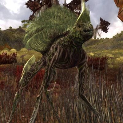 Vile Bog Prowler at the Circle of Blood - the Lone-Lands, LOTRO
