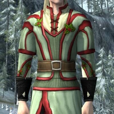 LOTRO Garments of Shire Holly - Male High Elf