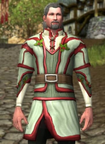 LOTRO Garments of Shire Holly - Male Race of Man