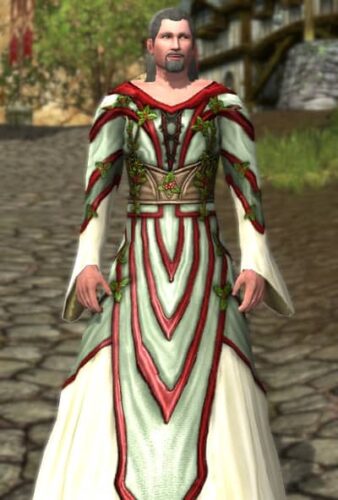 LOTRO Gown of Shire Holly - Male Race of Man
