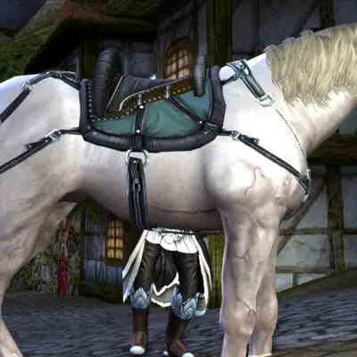 LOTRO Sporting War-steed | Full Cosmetic Outfit