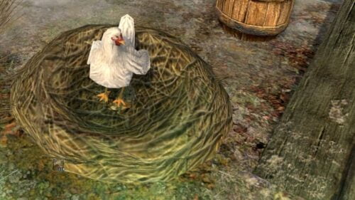 Pamper the Chickens in Cluckland