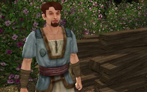 Cad Buckhorn - LOTRO Wildwood Questgiver - Woodcutter's Brotherhood Daily Repeatable Quests