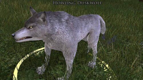 LOTRO Howling Duskwolf - Wildwood of Bree-land