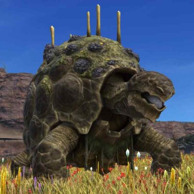 FFXIV  Giant Tortoise Gladiator (gla) Hunting Log Rank 2 target