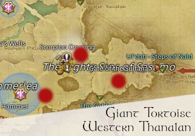 FFXIV Giant Tortoise Locations - Western Thanalan